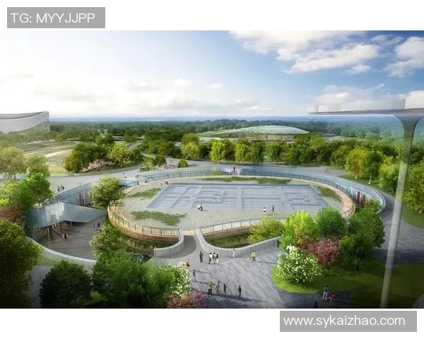 体育场建设与城市发展关系探析：提升公共空间功能与文化交流作用